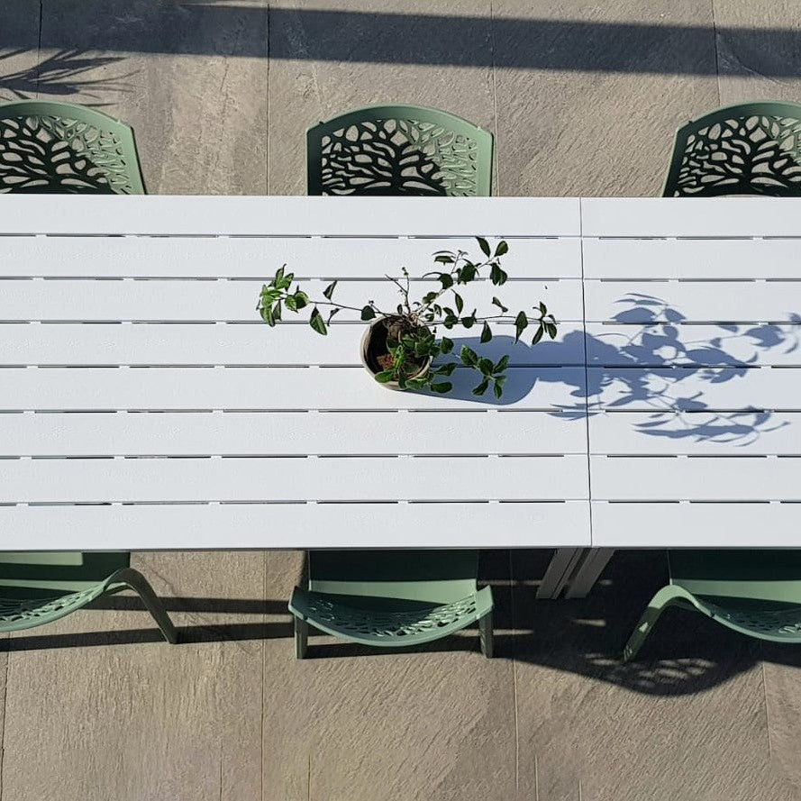 Flora – sedia in polipropilene con schienale albero della vita