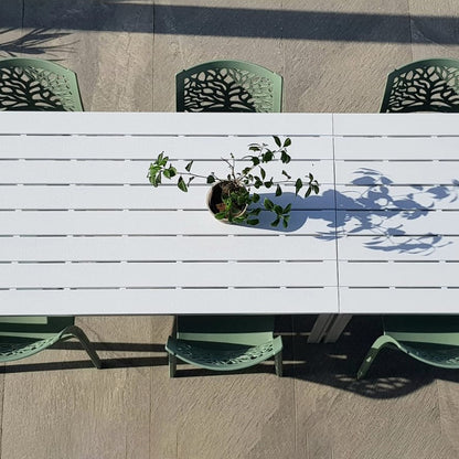 Flora – sedia in polipropilene con schienale albero della vita