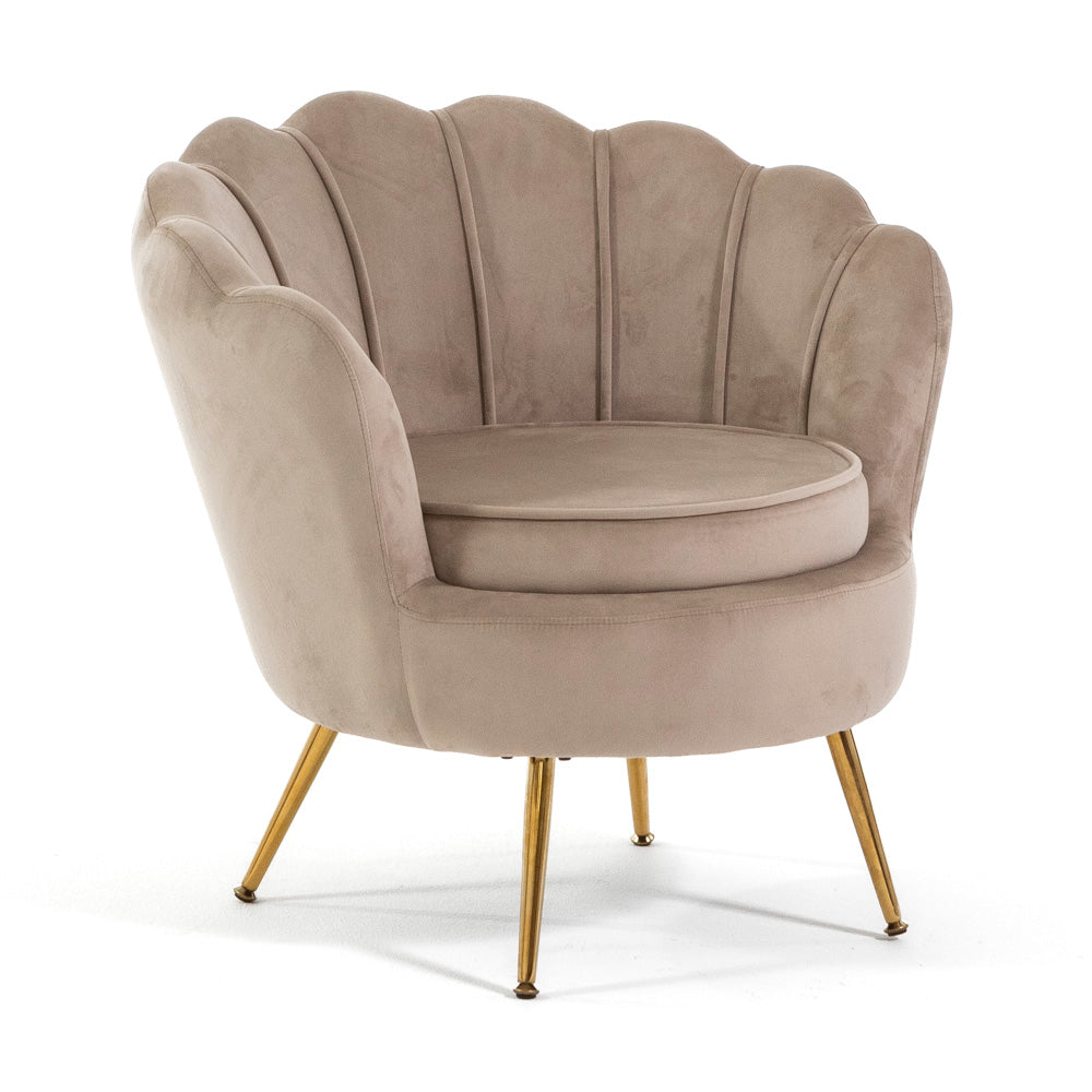 Perla – poltrona a conchiglia in velluto con gambe in metallo, colore beige, gambe oro, tipo di tessuto velluto