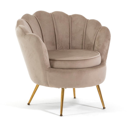 Perla – poltrona a conchiglia in velluto con gambe in metallo, colore beige, gambe oro, tipo di tessuto velluto
