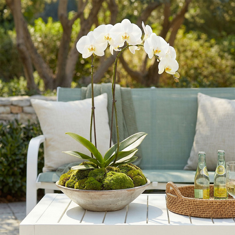 Ischia – set da giardino in alluminio e textilene